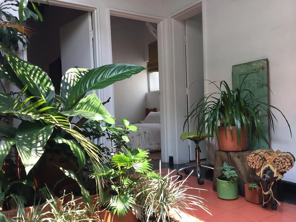 Saman Hostel Medellín