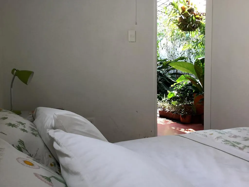 Saman Hostel Medellín