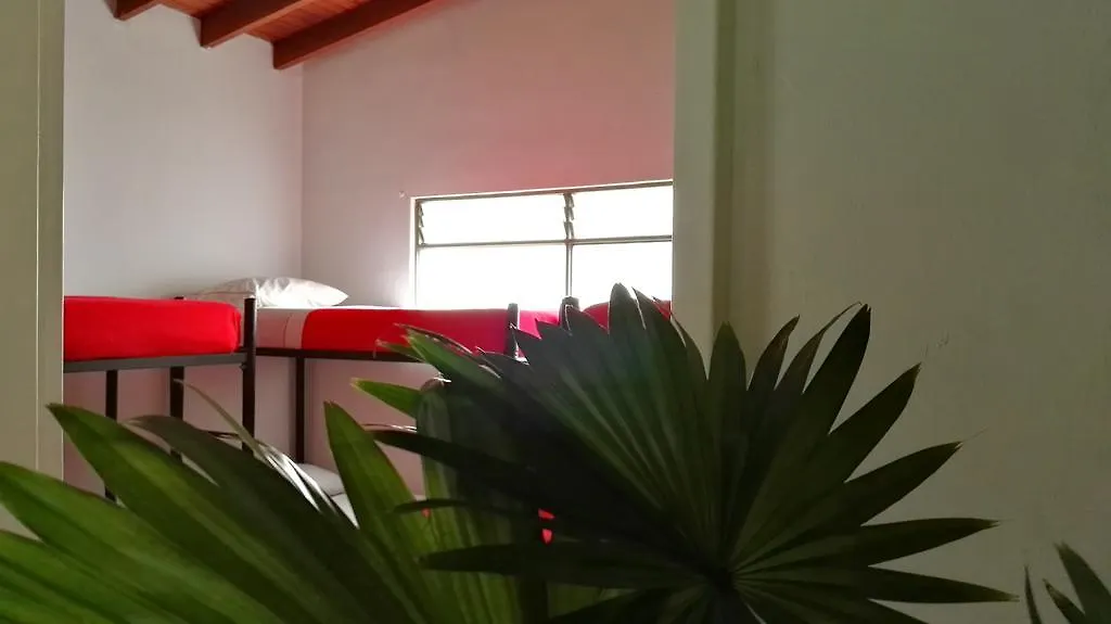 Saman Hostel Medellín