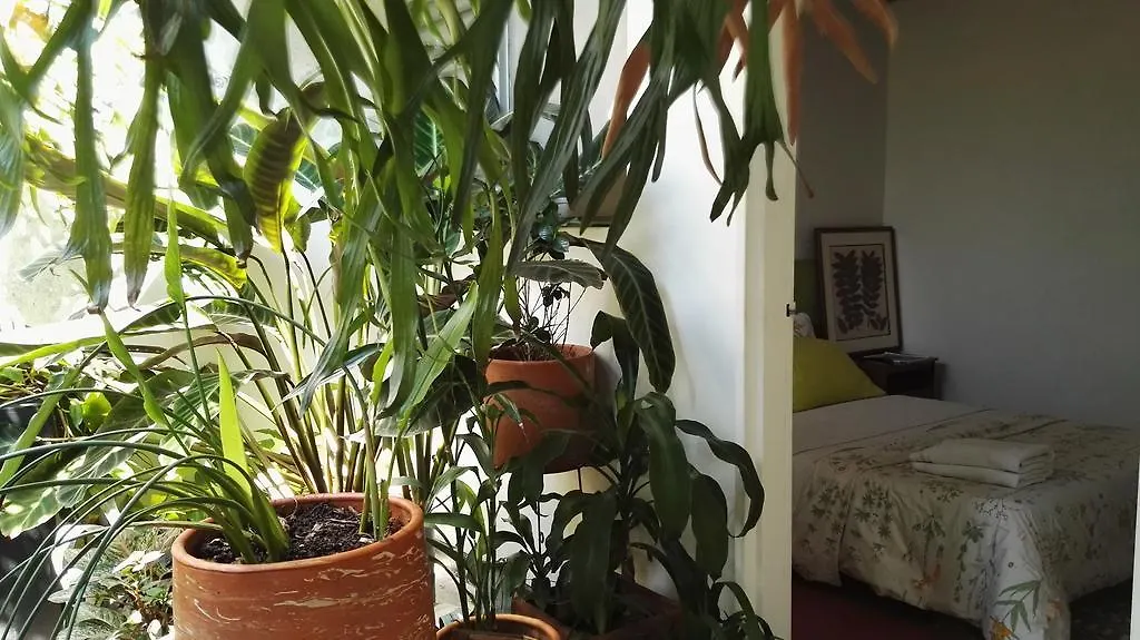 Saman Hostel Medellín