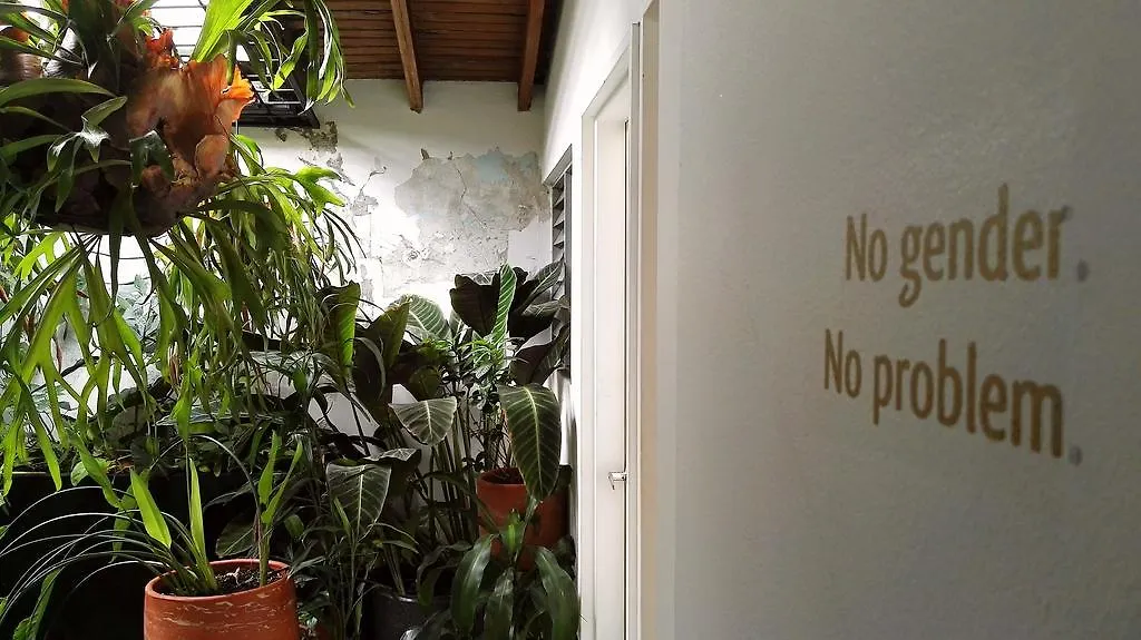 Saman Hostel Medellín Colombia