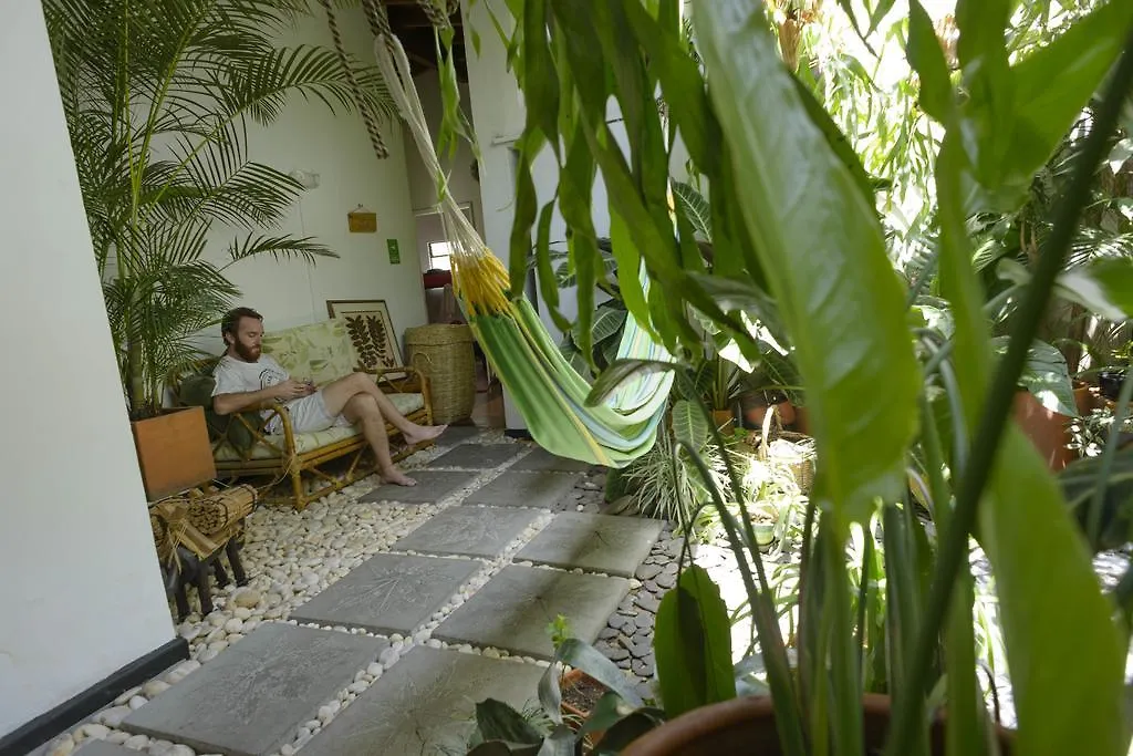 Saman Hostel Medellín