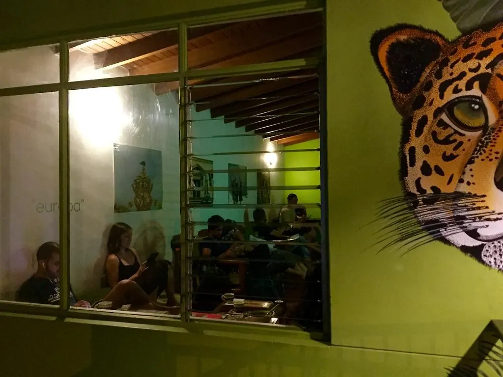 Saman Hostel Medellín Colombia