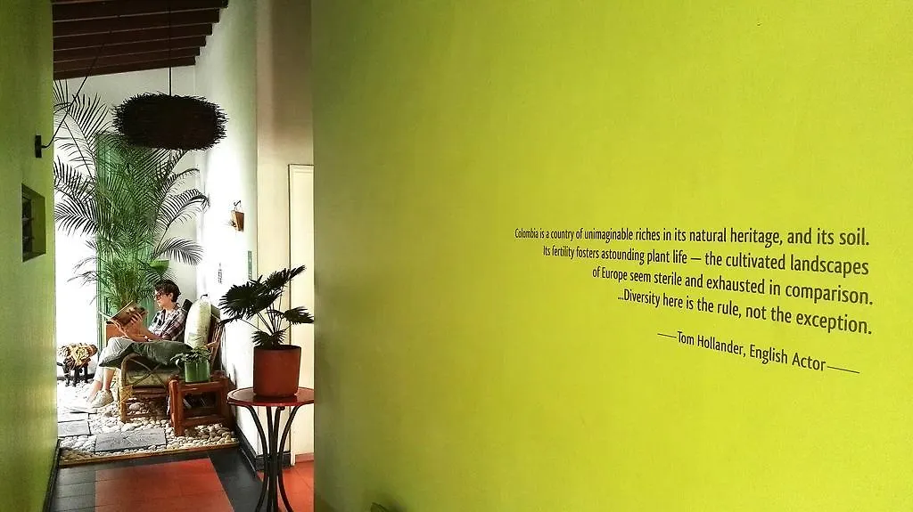 Saman Hostel Medellín Colombia